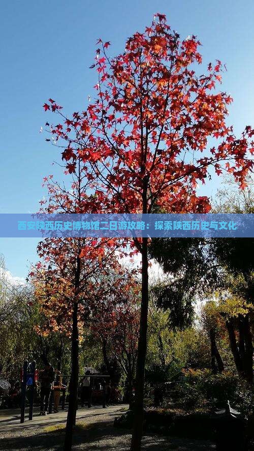 廊坊去西安陕西历史博物馆二日游