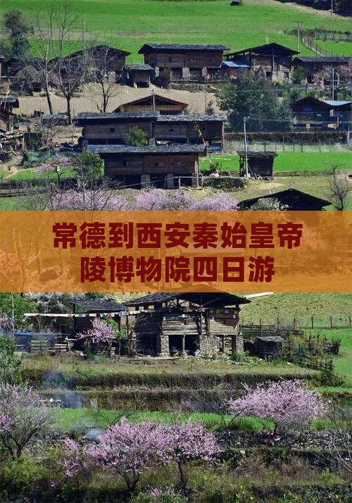 常德到西安秦始皇帝陵博物院四日游
