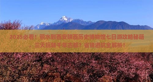 丽水到西安陕西历史博物馆七日游