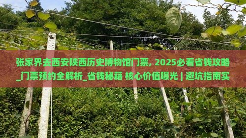 张家界去西安陕西历史博物馆门票