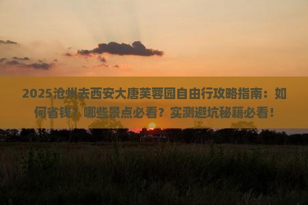沧州去西安大唐芙蓉园自由行