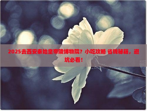 中秋节到西安秦始皇帝陵博物院旅游小吃