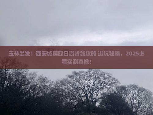 玉林到西安城墙四日游