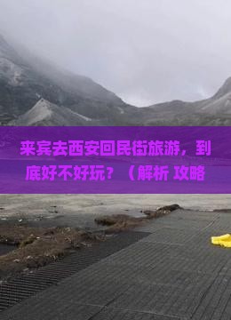 来宾去西安回民街旅游