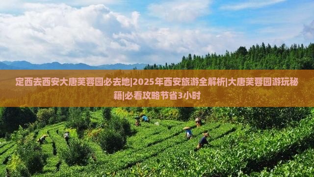 定西去西安大唐芙蓉园必去地