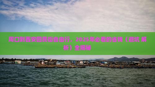 周口到西安回民街个人游