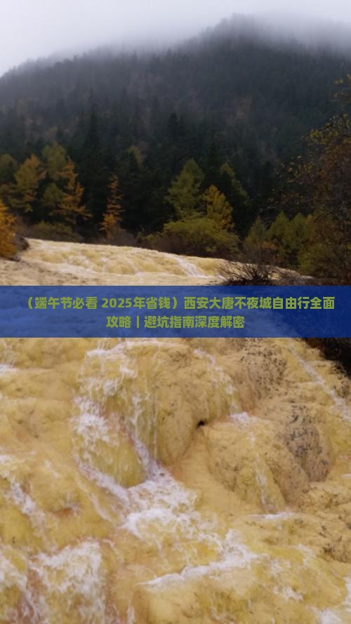 端午节去西安大唐不夜城自由团