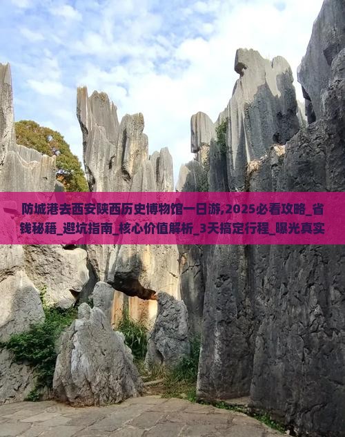 防城港去西安陕西历史博物馆一日游