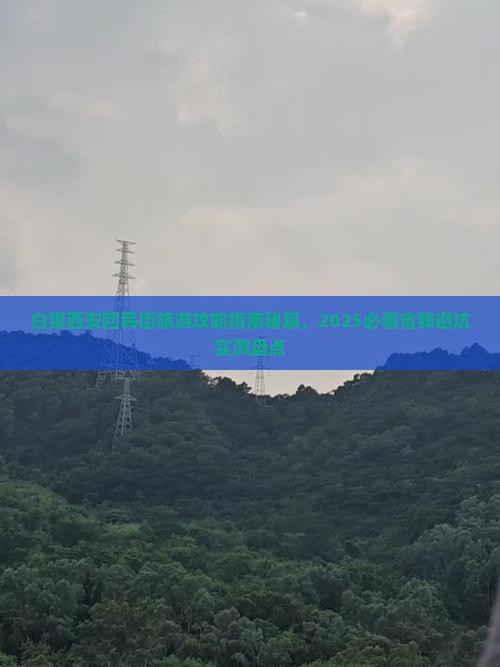 白银去西安回民街个人游
