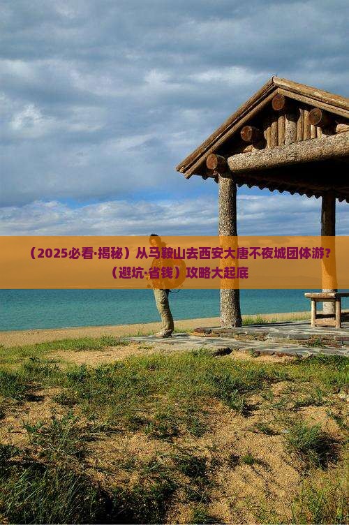 马鞍山到西安大唐不夜城团体旅游