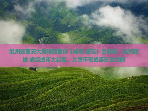 温州去西安大雁塔哪里玩