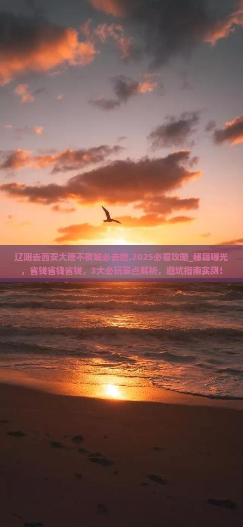 辽阳去西安大唐不夜城必去地