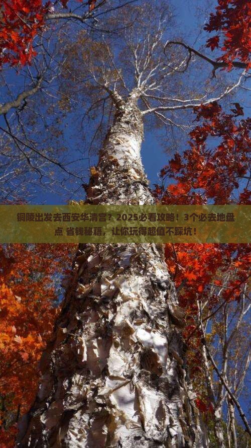 铜陵到西安华清宫必去地