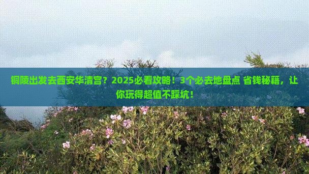 铜陵到西安华清宫必去地