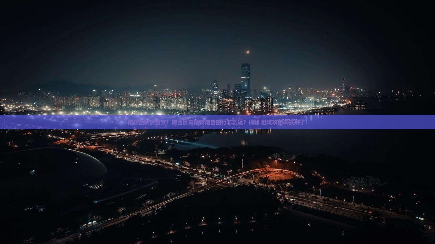 阳江去西安陕西历史博物馆自由行