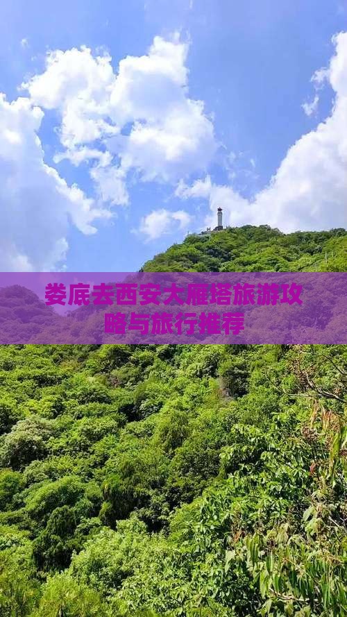 娄底去西安大雁塔旅行社