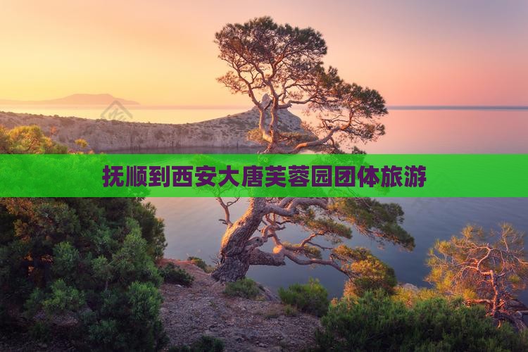 抚顺到西安大唐芙蓉园团体旅游