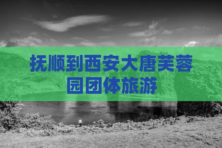 抚顺到西安大唐芙蓉园团体旅游