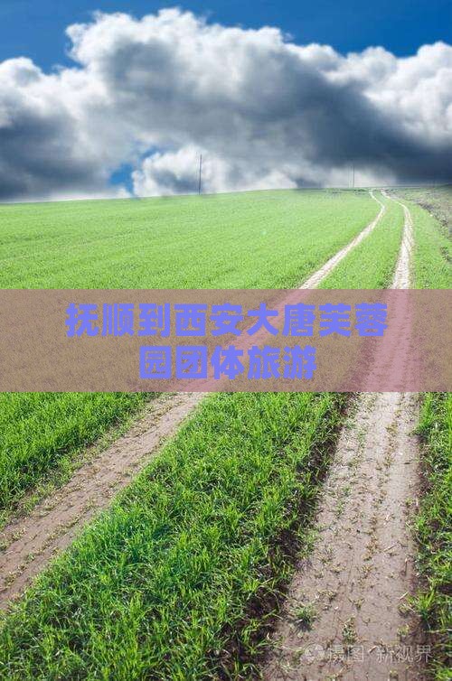 抚顺到西安大唐芙蓉园团体旅游