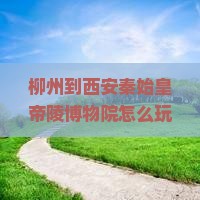 柳州到西安秦始皇帝陵博物院哪里玩