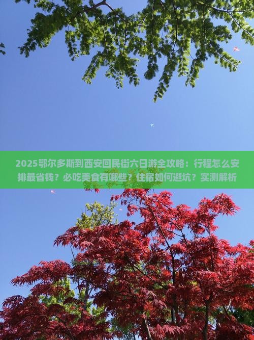 鄂尔多斯到西安回民街六日游