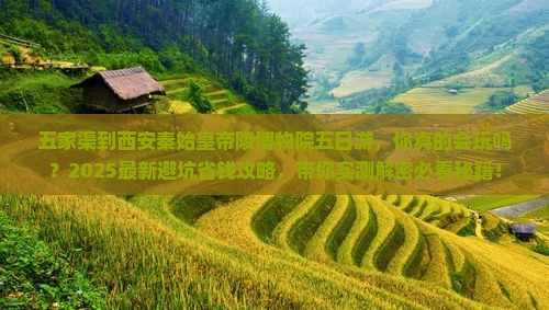 五家渠到西安秦始皇帝陵博物院五日游