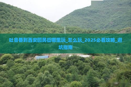 吐鲁番到西安回民街哪里玩