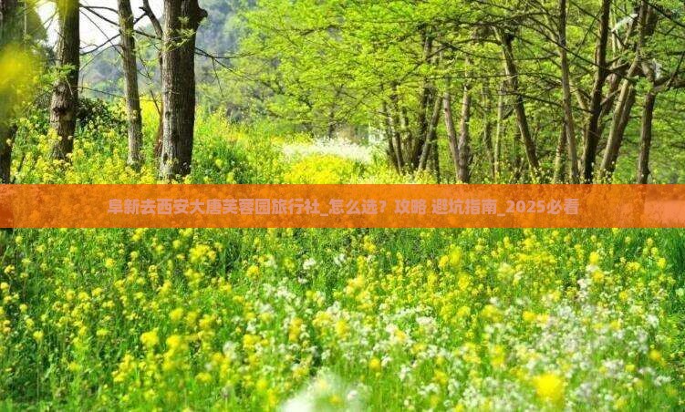 阜新去西安大唐芙蓉园旅行社