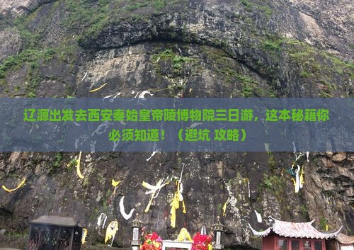 辽源去西安秦始皇帝陵博物院三日游