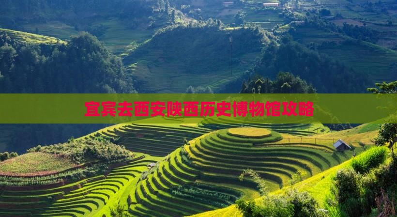 宜宾去西安陕西历史博物馆攻略