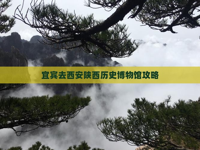 宜宾去西安陕西历史博物馆攻略