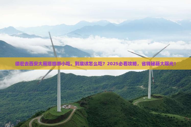德宏去西安大雁塔旅游小吃