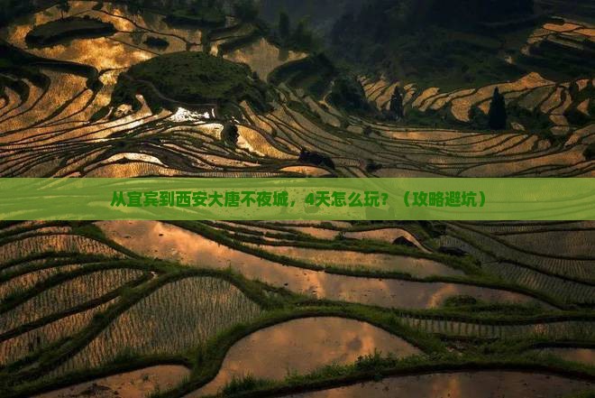 宜宾到西安大唐不夜城四日游