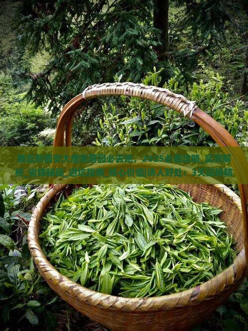 商丘到西安大唐芙蓉园必去地