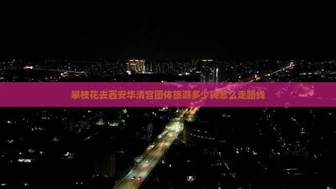 攀枝花去西安华清宫团体旅游