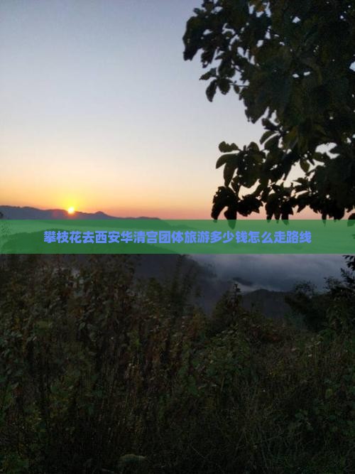 攀枝花去西安华清宫团体旅游