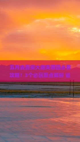 五月去西安大唐芙蓉园景点