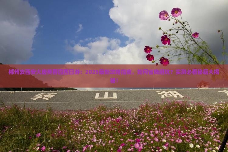 郴州去西安大唐芙蓉园四日游