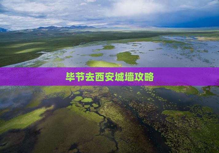 毕节去西安城墙哪里玩