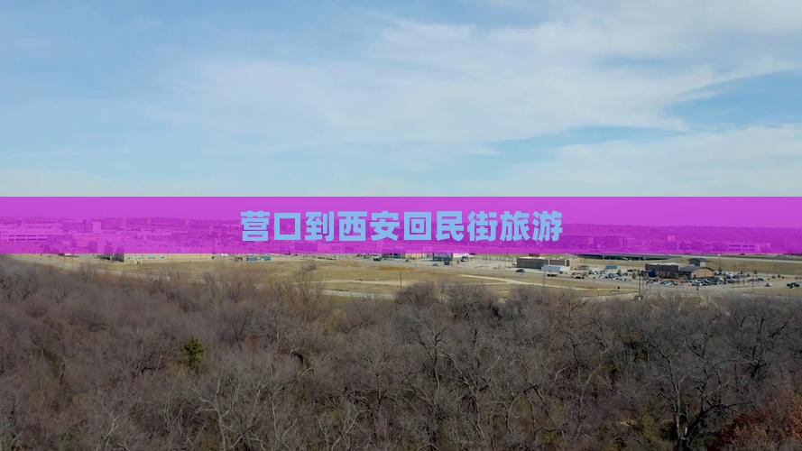 营口到西安回民街旅游