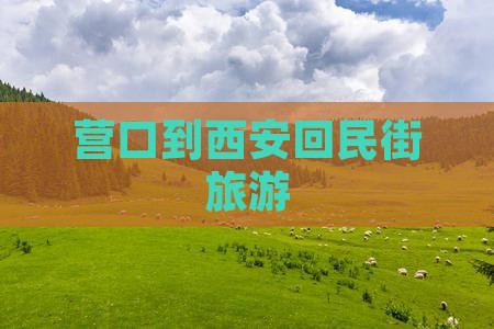 营口到西安回民街旅游