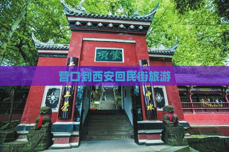 营口到西安回民街旅游