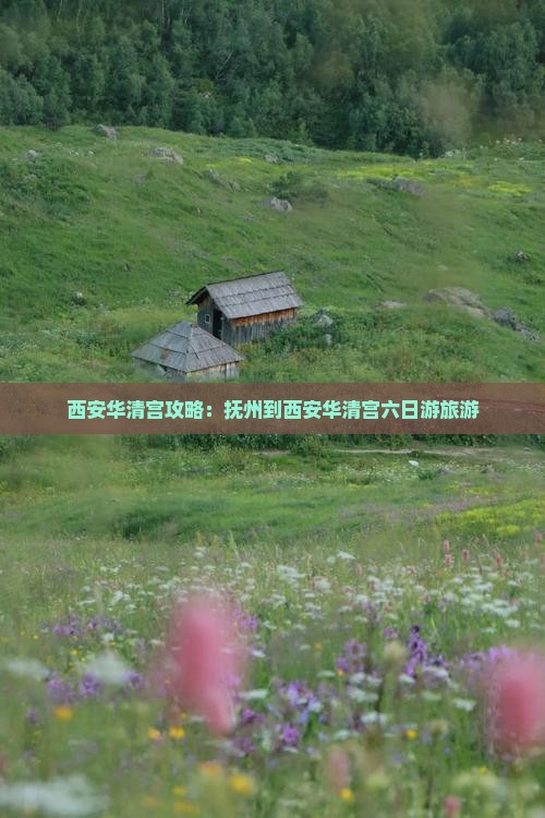 抚州到西安华清宫六日游