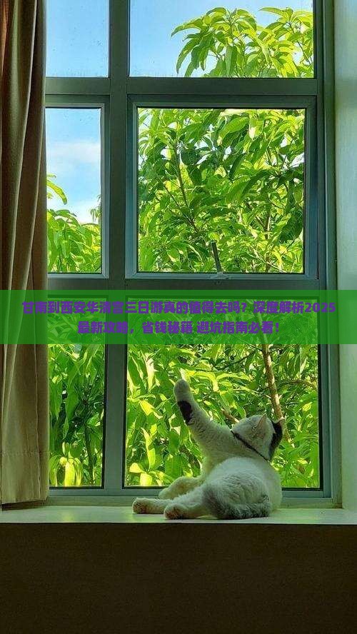 甘南到西安华清宫三日游