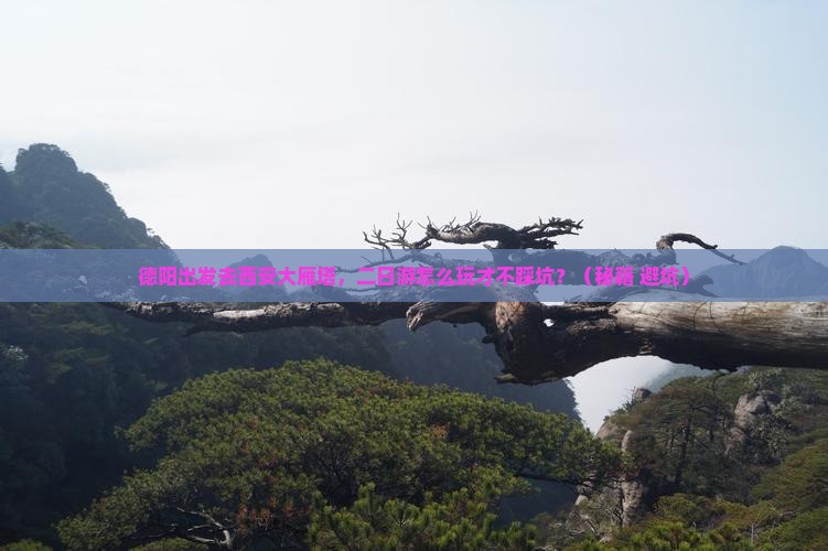 德阳去西安大雁塔二日游