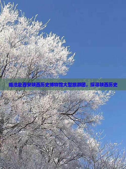 临沧去西安陕西历史博物馆大型旅游团