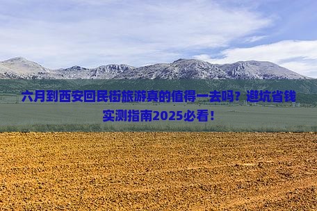 六月到西安回民街旅游