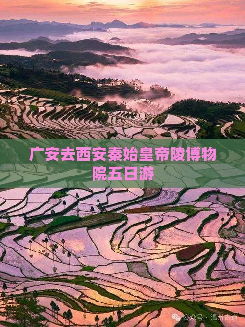 广安去西安秦始皇帝陵博物院五日游
