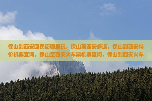 保山到西安回民街哪里玩
