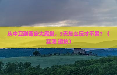 中卫去西安大雁塔个人游